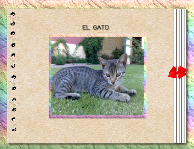 Juego El Gato