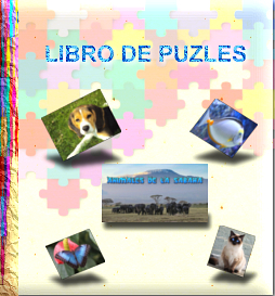 Libro de puzles