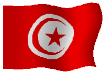 bandera Tnez